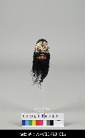 藏品(布袋戲製作-雕刻步驟(十二)紮髯)的圖片